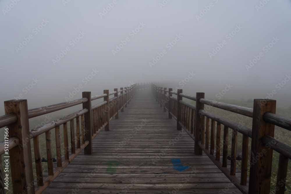 pier in the fog