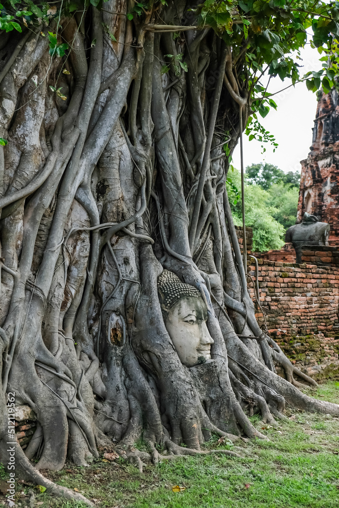 Buddha's head in tree roots at Wat Mahathat,Phra Nakorn Sri Ayutthaya,Thailand.