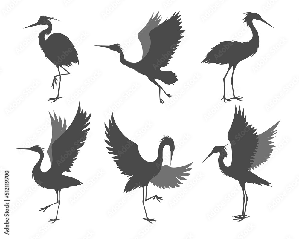 Fototapeta premium Heron poses silhouettes