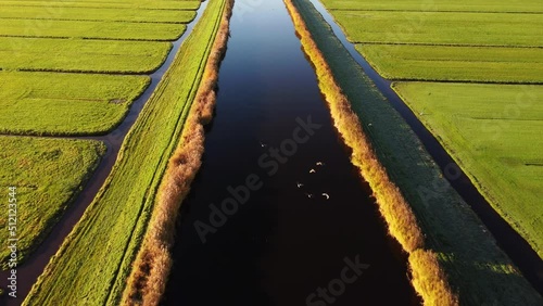 Aerial drone footage of vast green Dutch farmland fields in the countryside, separated by water canals. Filmed at sunrise. photo