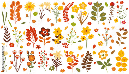 flowers and leaves set in flat design, isolated vector