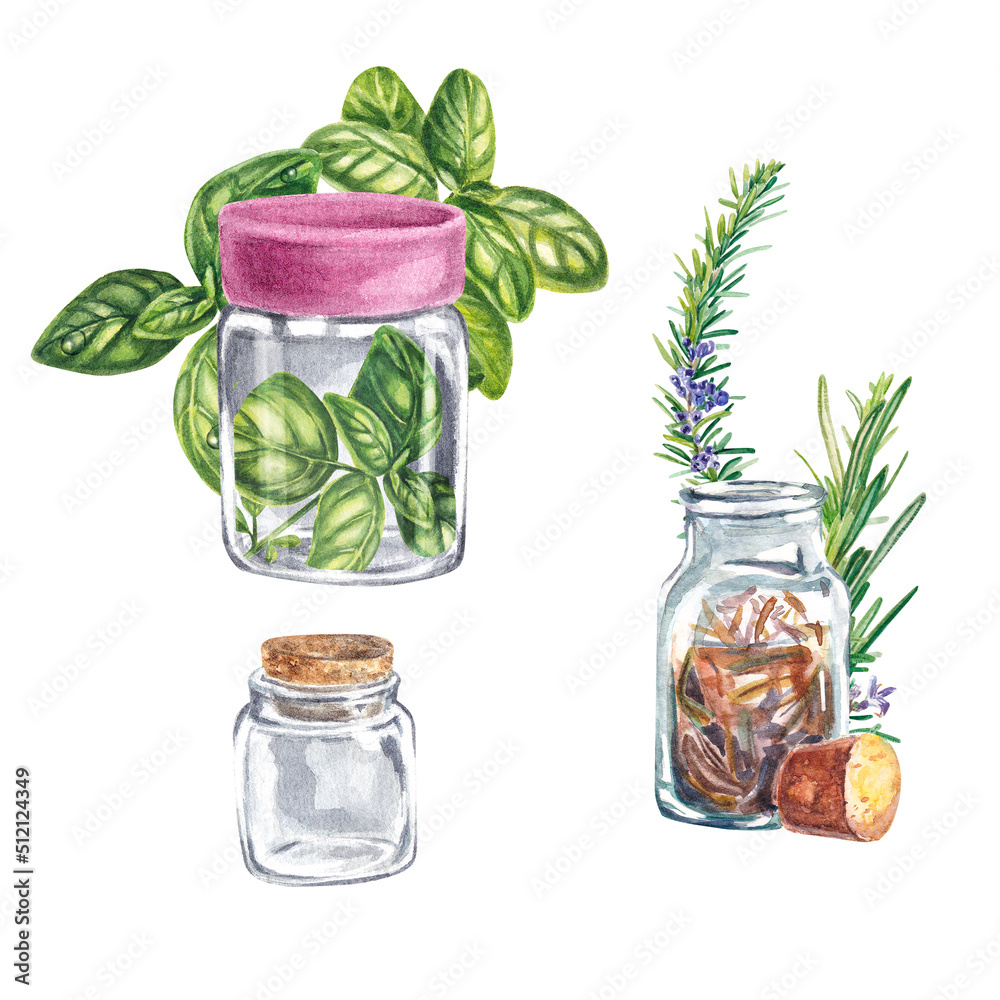 Set Basil green in a jar on a white background. Dried basil , seasoning for dishes. Watercolor illustration of Provencal herbs of the Marjoram are suitable for postcards, menu design Set Basil green in a jar on a white background. Dried basil , seasoning for dishes. Watercolor illustration of Provencal herbs of the Marjoram are suitable for postcards, menu design