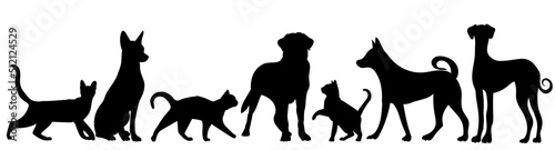 dogs and cats silhouette on white background, isolated, vector