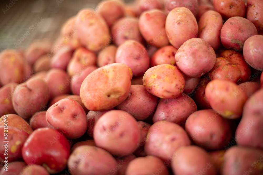 A closeup of a large collection of fresh cleaned new red potatoes. The organic vegetable is raw with sun shining on their thin layers of skin. The stack of root vegetables has small indents or eyes. A closeup of a large collection of fresh cleaned new red potatoes. The organic vegetable is raw with sun shining on their thin layers of skin. The stack of root vegetables has small indents or eyes.