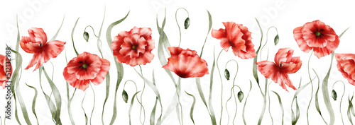 Watercolor floral seamless border– Poppies, Red poppy flowers, Wildflowers, Botanic summer illustration isolated on white background, Hand painted floral background, Botanical collection of garden