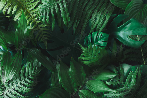 Nature jungle background made of green tropical leavs. Flat lay. Creative summer idea. Nature concept.