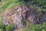 Część skalna w rezerwacie Wietrznia w Kielcach