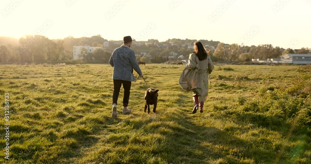 Rear view of a couple with a dog walking on pasture Rear view of a couple with a dog walking on pasture