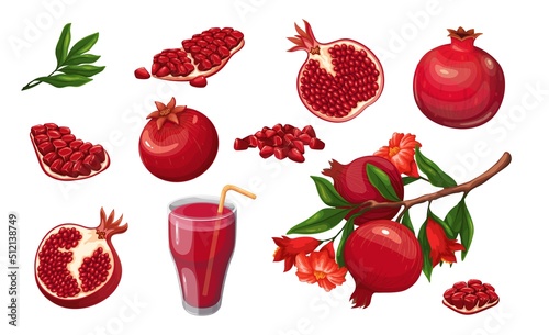 Pomegranate set vector illustration. Cartoon isolated whole organic garnet fruit, cut in half and slices with juicy seeds, tree branch with pomegranates, flowers and green leaves and glass with juice