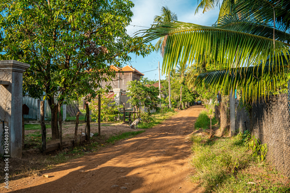 Obraz premium trees in the village