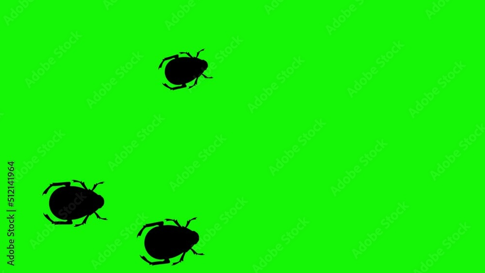 Group of bugs walking animation green screen chroma key Stock ビデオ ...