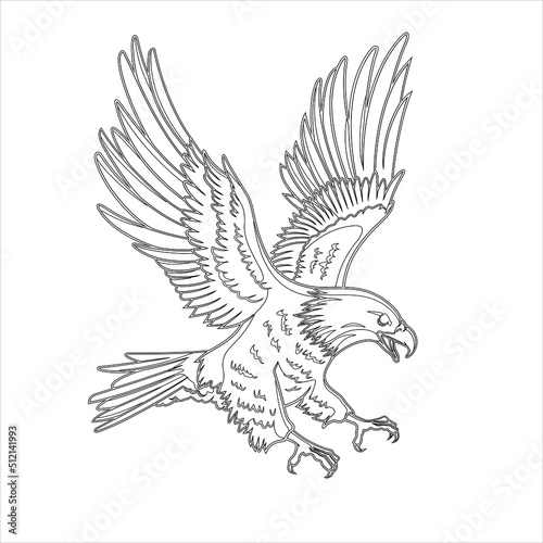 Eagle Coloring page , Eagle cartoon , American Eagle 