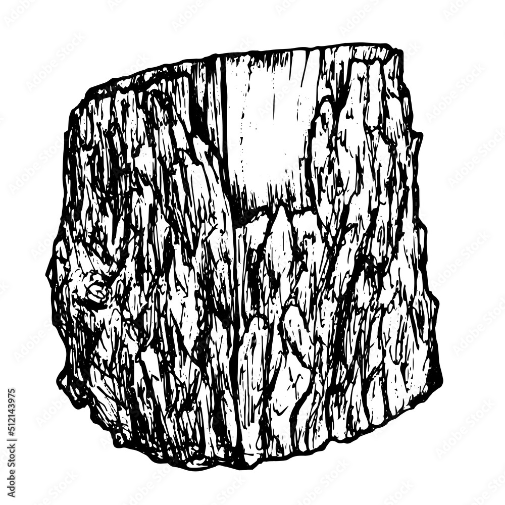 Draw a stump in the form of a hand drawn sawn tree in a realistic style