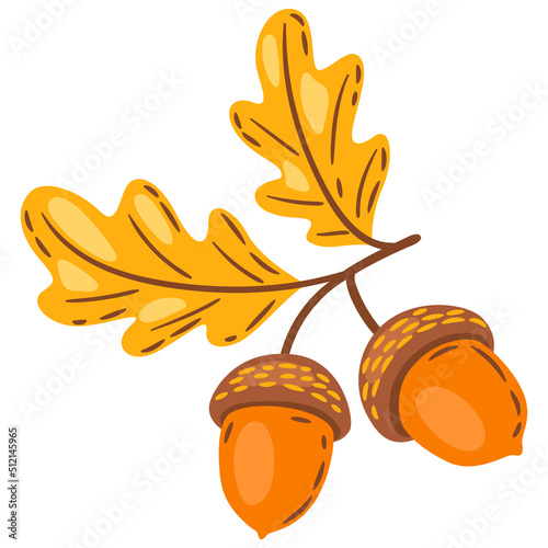 Illustration of oak leaves with acorns. Image of autumn plant.