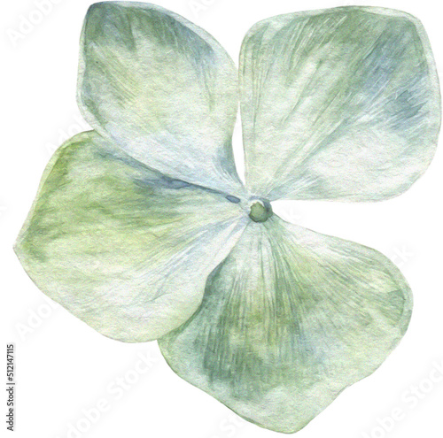 Fotografie Enchanted Watercolor Clipart 04