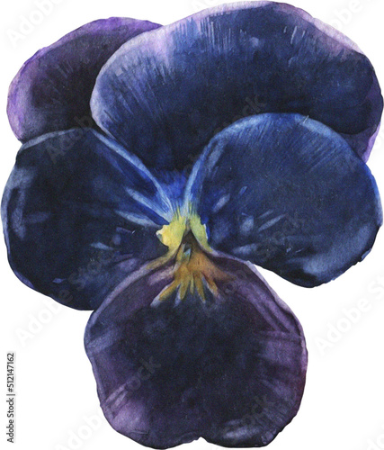 Fototapeta Naklejka Na Ścianę i Meble -  Enchanted Watercolor Clipart 07