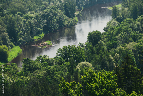 View from above on a green forest in summer through which the river flows