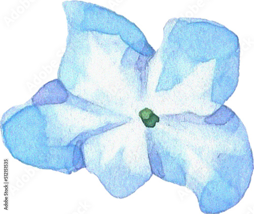Fototapeta Naklejka Na Ścianę i Meble -  Summer Bloom Watercolor Set 34
