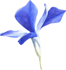 Summer Bloom Watercolor Set 24