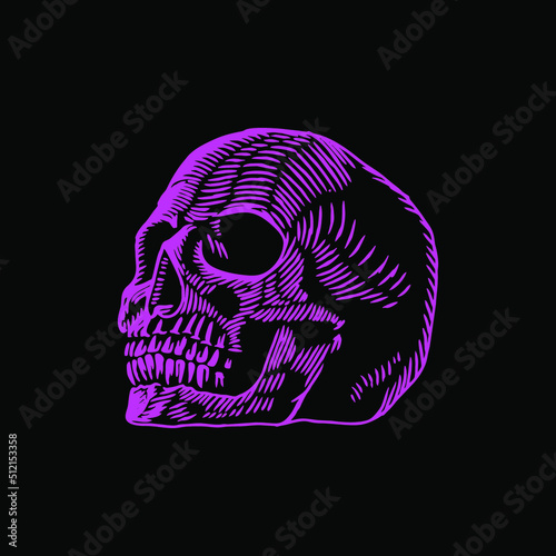 skull vector for illustration and logo on black background
