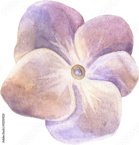 Fototapeta Naklejka Na Ścianę i Meble -  Summer Bloom Watercolor Set 41