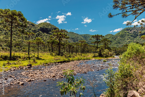 Foto Scenic river with araucaria trees near Espraiado Canyon in Santa Catarina, Brazi