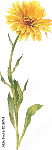 Watercolor Wonders Artistic Kit 24