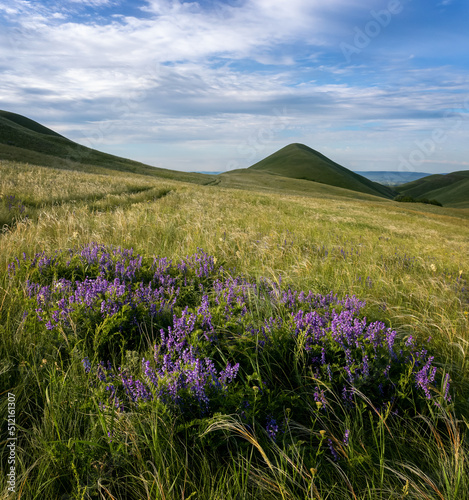 Ural Mountains in the Orenburg region of Russia in June