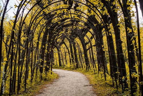 Arch in a colorful autumn garden