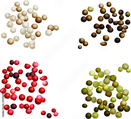 Black, green, white, and pink peppercorns. Vector flat illustration