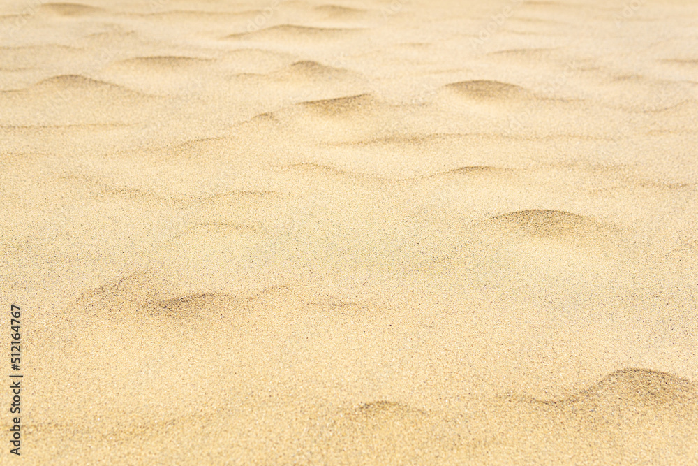 wind ripples on the sandy surface in the desert wind ripples on the sandy surface in the desert