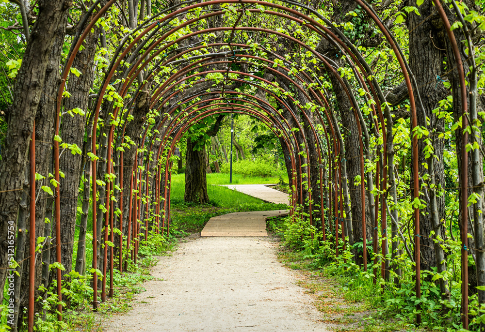 Arch in a green spring garden Arch in a green spring garden