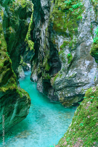 The beautifull emerald green river Soca in the middle of the triglav national park, Slovenia photo