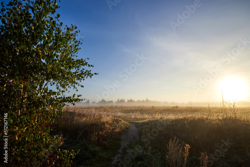 Field in the early foggy morning at sunrise. Amazing nature in early foggy morning on sunrise. Early morning landscape with the first rays of the sun.