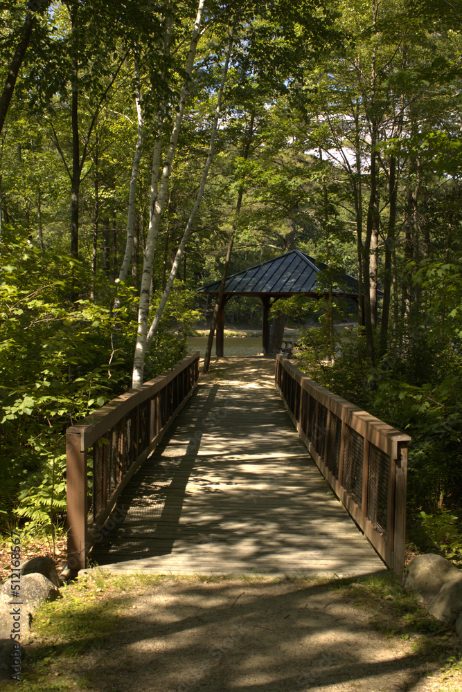 Fototapeta premium gazebo and bridge on lake