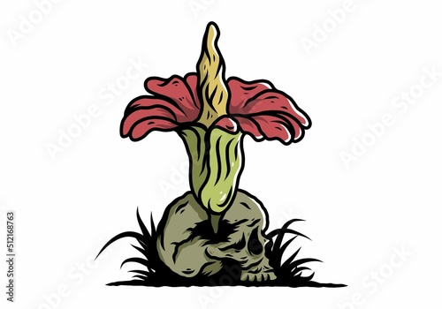 Corpse flower growing on the skull illustration