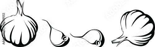 Garlic logo. Isolated garlic on white background
