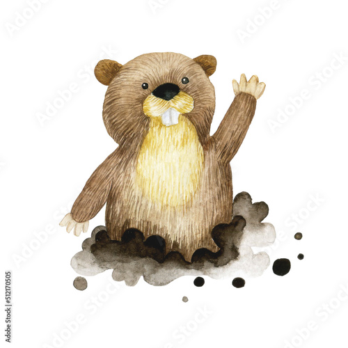 watercolor drawing, clipart. cute gopher character. children's illustration forest animal gopher. photo