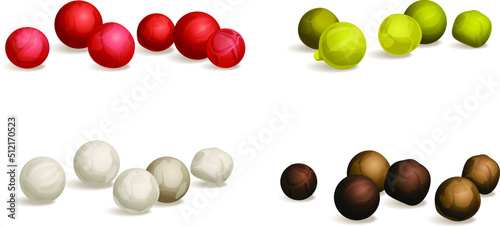Black, green, white, and pink peppercorns. Vector flat illustration