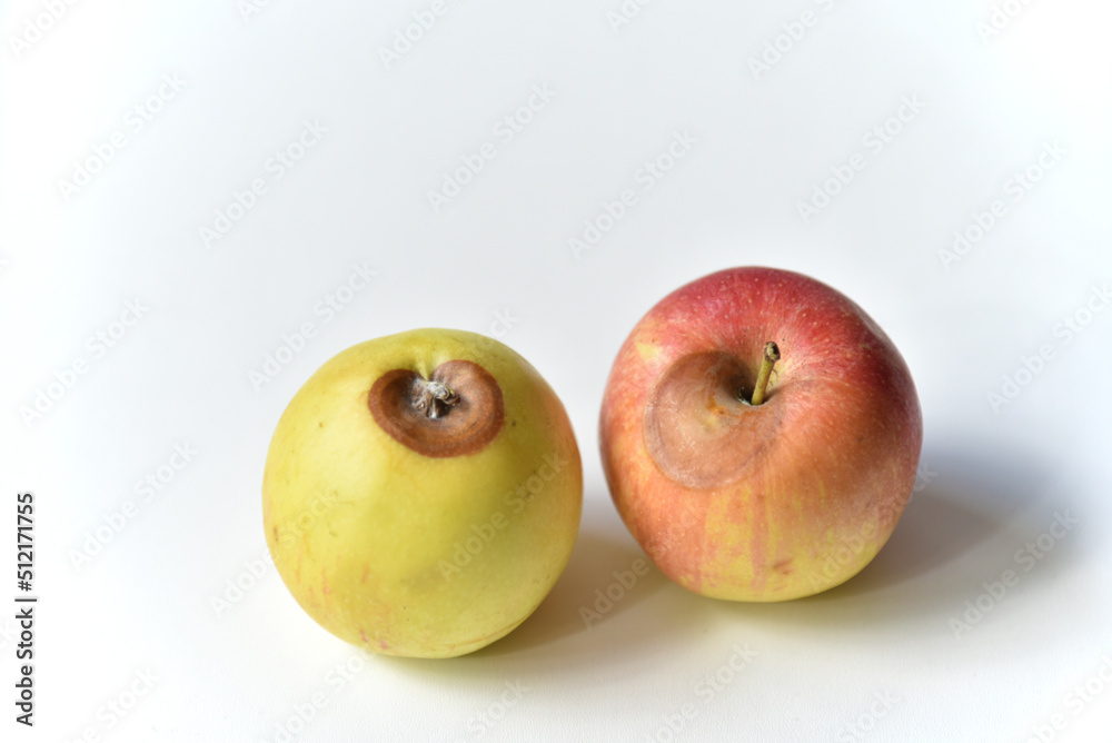 Rotten red and green apple on a white background Rotten red and green apple on a white background