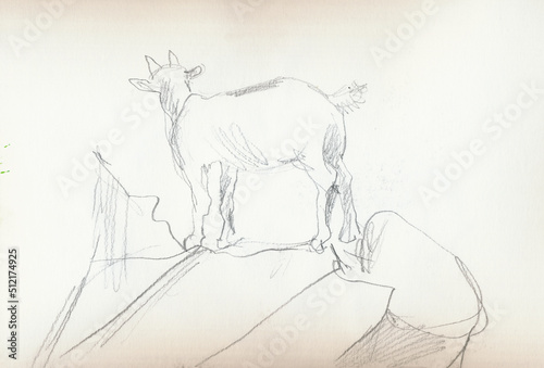 An hand drawn illustration, scanned picture - goats - pencil technique