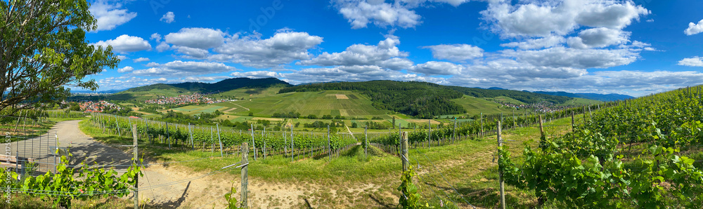 Schneckental_Panorama_2197