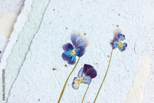 Dried viola flower pressed onto a sheet of handmade paper with a pronounced explicit texture. Reuse of materials.