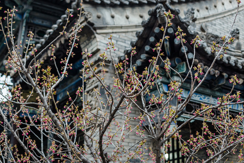 flowers and chinese building