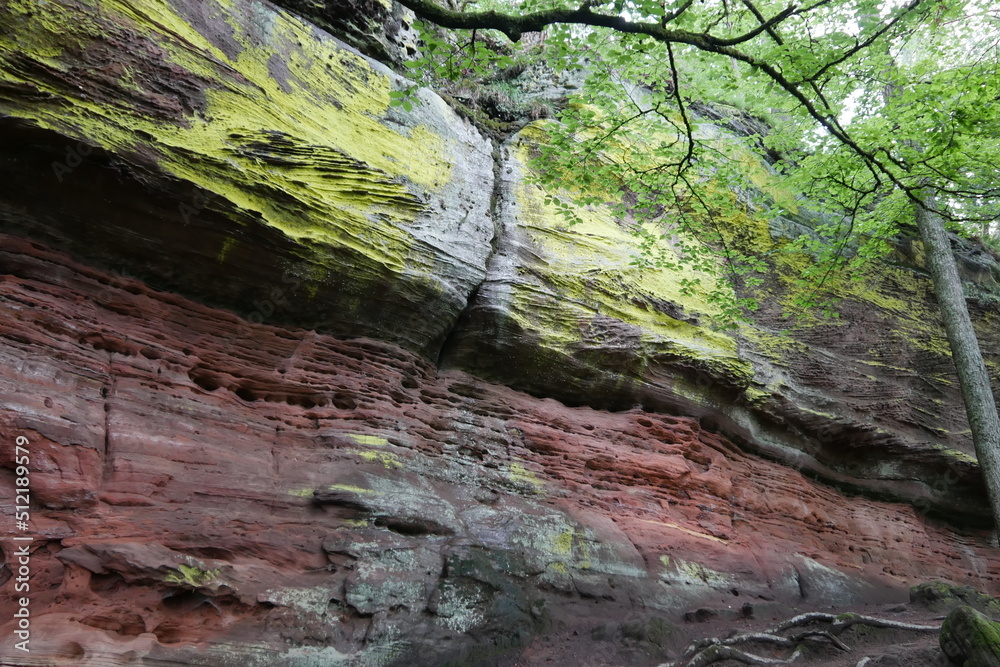 Wanderweg am Altschlossfelsen im Pfälzerwald Wanderweg am Altschlossfelsen im Pfälzerwald