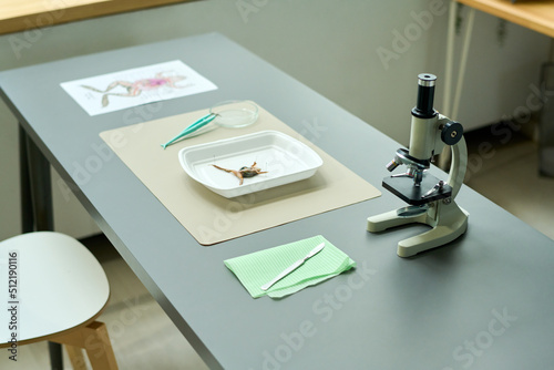 Long grey desk with microscope, scalpel, tweezers, paper with sketch of animal internal structure and plastic tray with frog for dissection photo