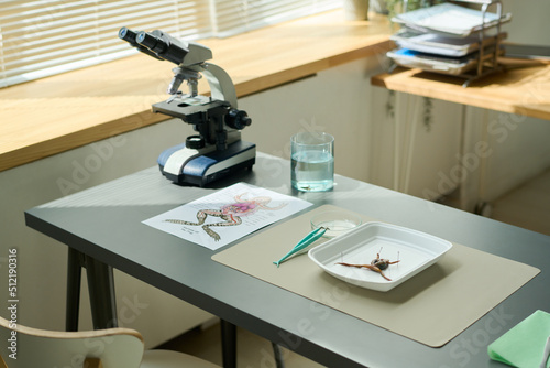 Cuadro en lienzo Group of supplies and equipment on grey desk for making dissection of frog and s