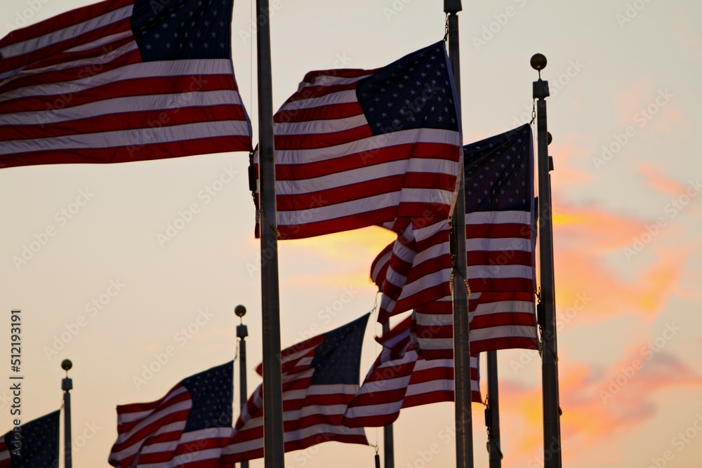 Multiple American flags flying at sunset. Multiple American flags flying at sunset.
