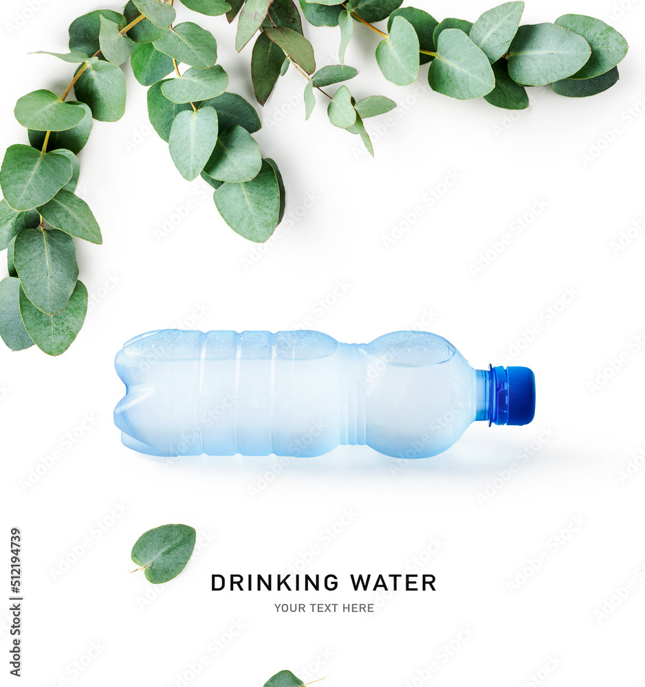 Drinking water in plastic bottle and eucalyptus leaves. Stock Photo Adobe Stock