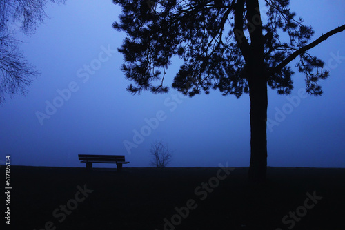 bench in the dark, foggy park